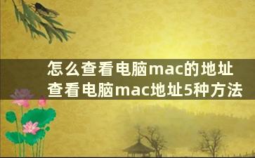 怎么查看电脑mac的地址 查看电脑mac地址5种方法